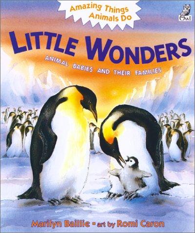Little Wonders
