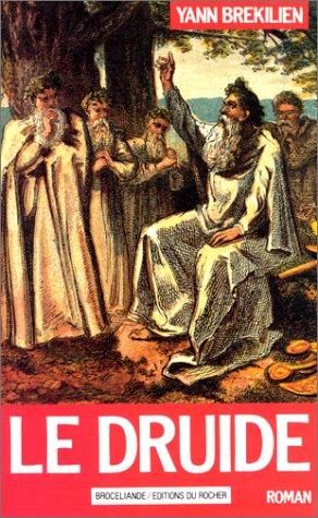 Le druide by Yann Brékilien cover