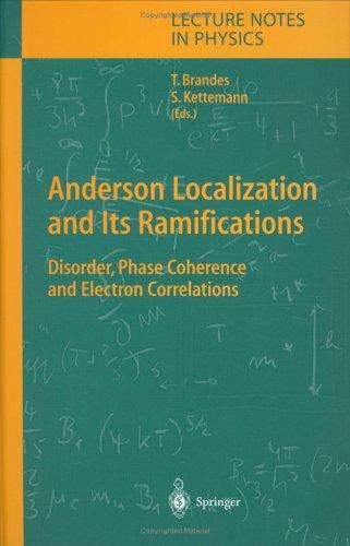 Anderson localization and its ramifications by Tobias Brandes cover
