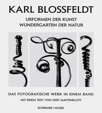 Urformen der Kunst