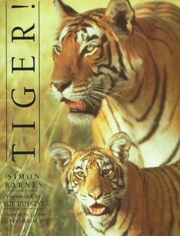 Tiger!