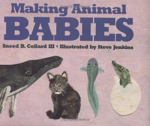 Making Animal Babies by Sneed B. Collard III, Sneed B Collard cover