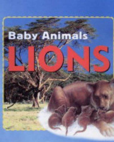 Baby Animals:Lions by Kate Petty cover