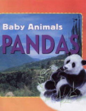Baby Animals:Pandas by Kate Petty cover