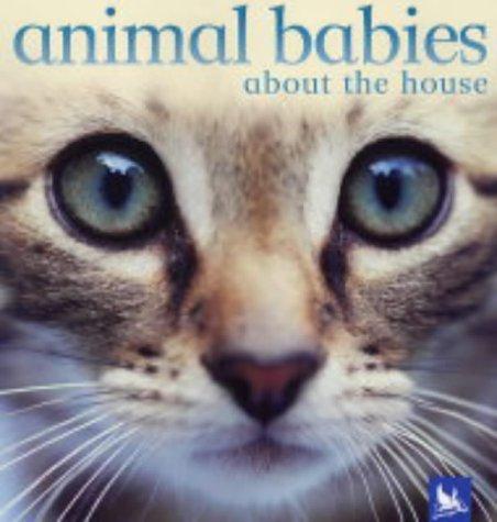 Animal babies about the house by  cover