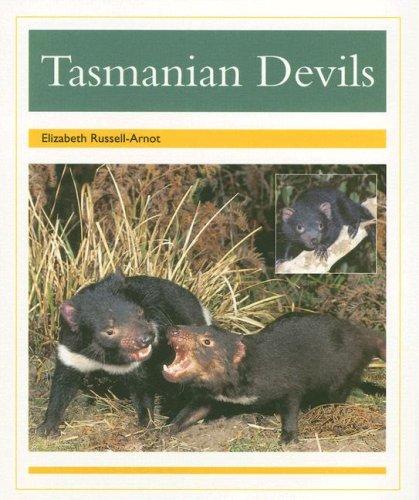 Tasmanian Devils (PM Animal Facts: Nocturnal Animals)