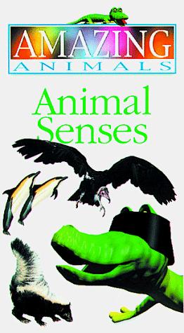 Animal Senses (Amazing Animals) by DK Publishing cover