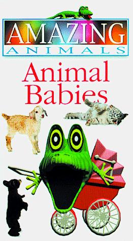 Animal Babies (Amazing Animals) by DK Publishing cover