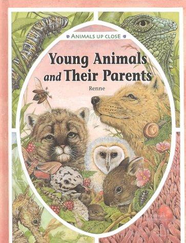 Young Animals and Their Parents (Animals Up Close) by Renne cover