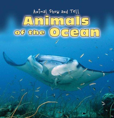 Animals of the Ocean (Animal Show and Tell) by Kathleen Pohl cover