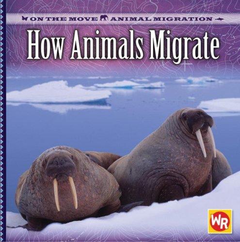 How Animals Migrate (On the Move: Animal Migration) by Susan Labella cover