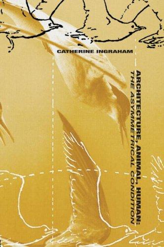 Architecture, Animal, Human by Catherine Ingraham cover