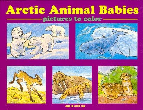 Arctic Animal Babies