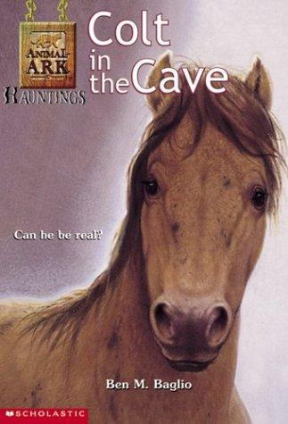 Colt in the Cave (Animal Ark Hauntings #4) by Ben M. Baglio cover