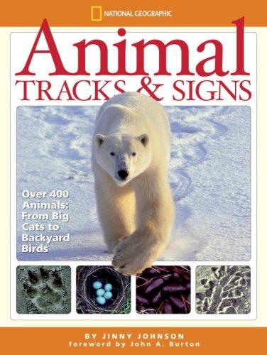Animal tracks & signs by Jinny Johnson cover