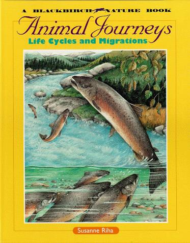 Animals in the Wild - Animal Journeys by Susanne Riha cover