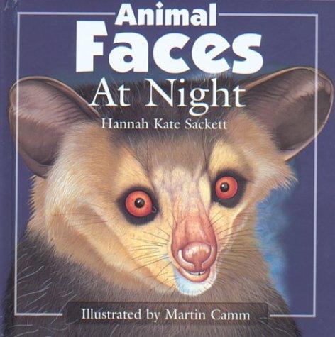 Animal faces at night by Hannah Kate Sackett, Hannah Sackett cover