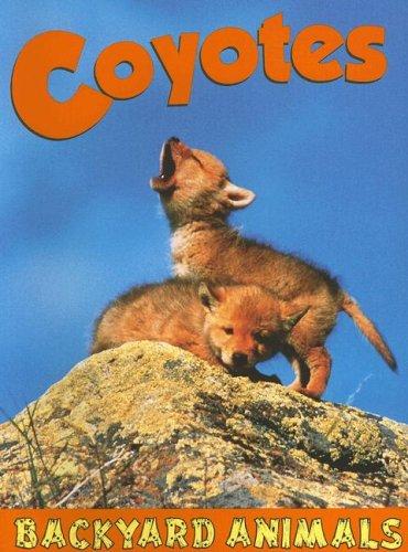 Coyotes by Christine Webster cover