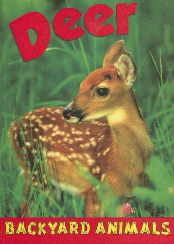 Deer