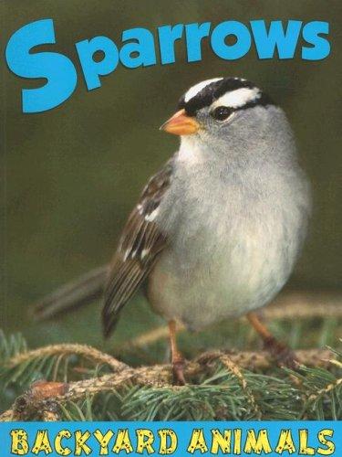 Sparrows by Christine Webster cover