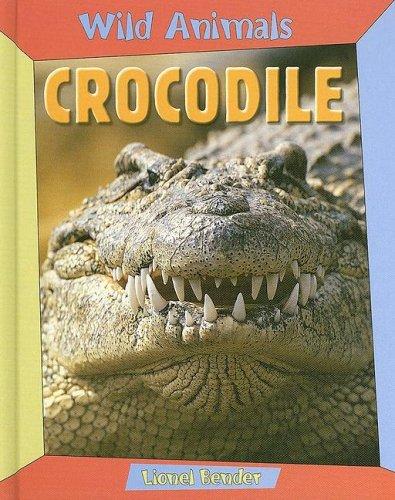 Crocodile (Wild Animals) by Lionel Bender cover