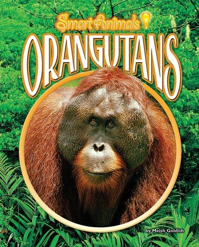 Orangutans (Smart Animals)
