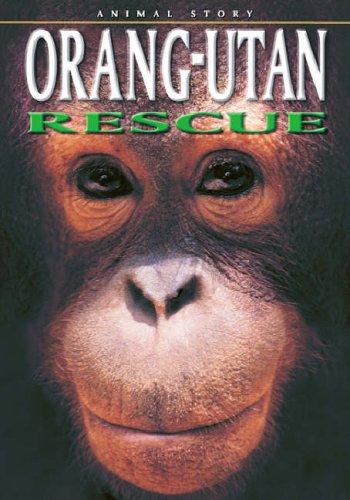 Orang-utan Rescue (Animal Story) by Dougal Dixon cover