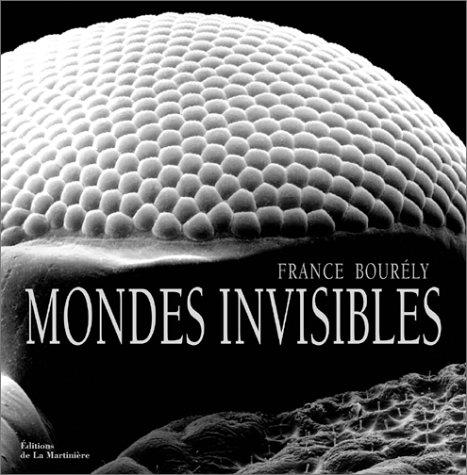 Mondes invisibles by France Bourély cover