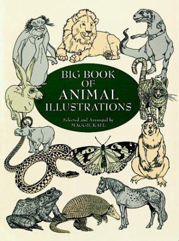 Big book of animal illustrations by Maggie Kate cover