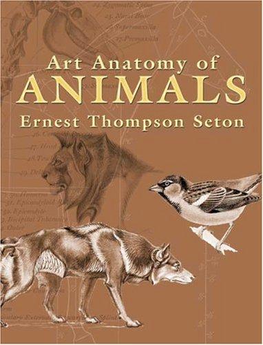 Art anatomy of animals by Ernest Thompson Seton cover