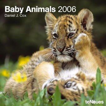 Baby Animals 2004 Calendar by Daniel J. Cox cover