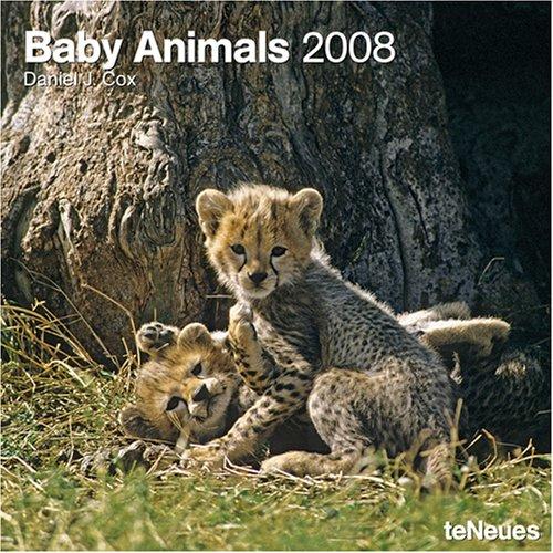Baby Animals 2008 Calendar