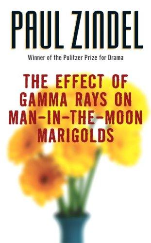 The effect of gamma rays on man-in-the-moon marigolds