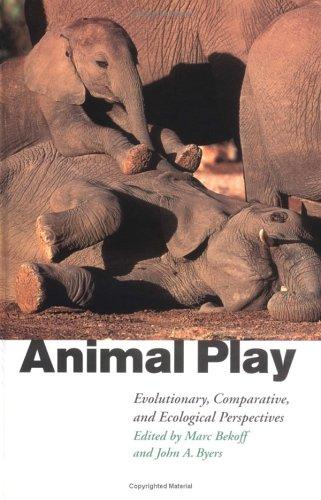 Animal Play by Marc Bekoff cover