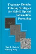 Frequency domain filtering strategies for hybrid optical information processing