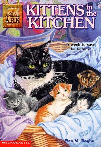 Kittens in the Kitchen