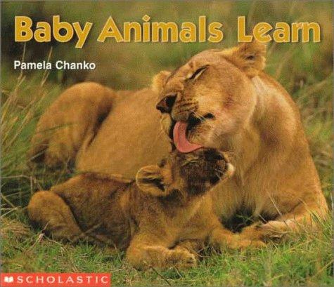 Baby animals learn by Pamela Chanko cover
