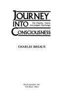 Journey into consciousness