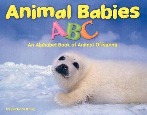 Animal babies ABC