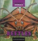 Beetles (Animals, Animals) by Kathleen Derzipilski cover