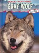 Animal Under Threat (Animals Under Threat) by Jill Bailey cover