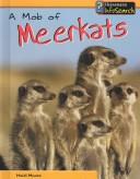 Mob of Meerkats (Animal Groups)
