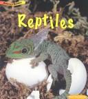 Reptiles (Animal Babies) by Rod Theodorou cover