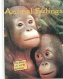 Animal Feelings by Sylvia Funston cover