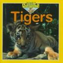 Tigers by Kate Petty cover