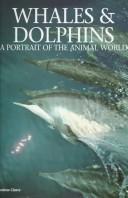 Whales & dolphins