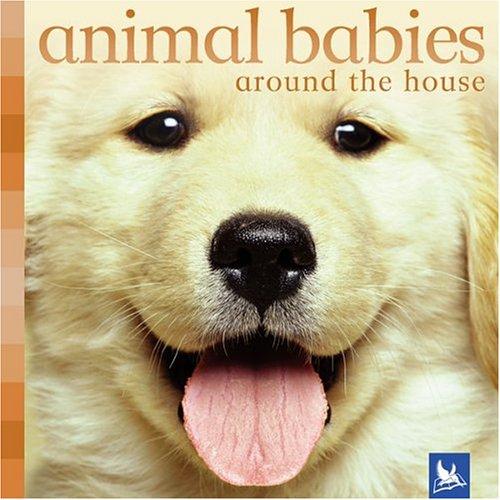 Animal Babies Around the House (Animal Babies)