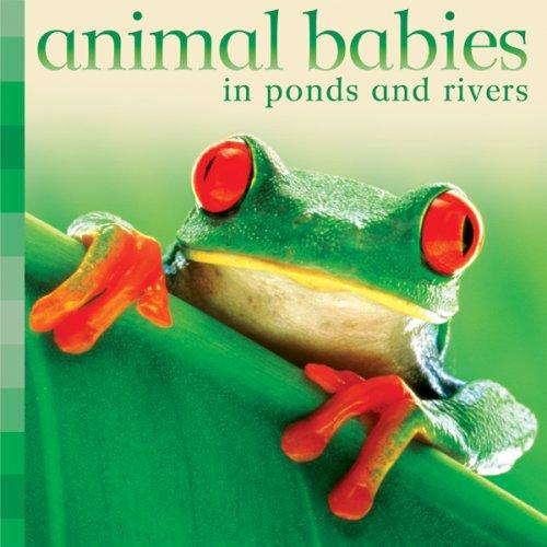 Animal Babies Ponds and Rivers (Animal Babies) by Editors of Kingfisher cover