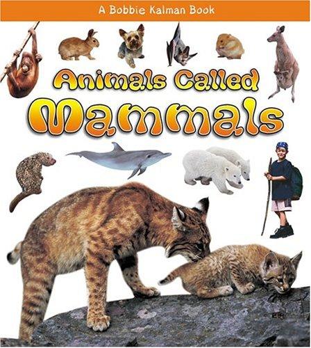 Animals Called Mammals by Bobbie Kalman, Kristina Lundblad cover