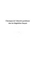 Chroniques de l'ethnicité quotidienne chez les Maghrébins français by Jean-François Bruneaud cover